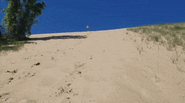 Acid GIFs, March 18 (25 gifs)