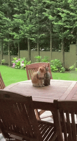 Acid GIFs, March 18 (25 gifs)