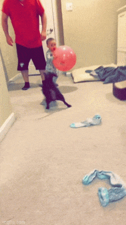 Acid GIFs, March 18 (25 gifs)