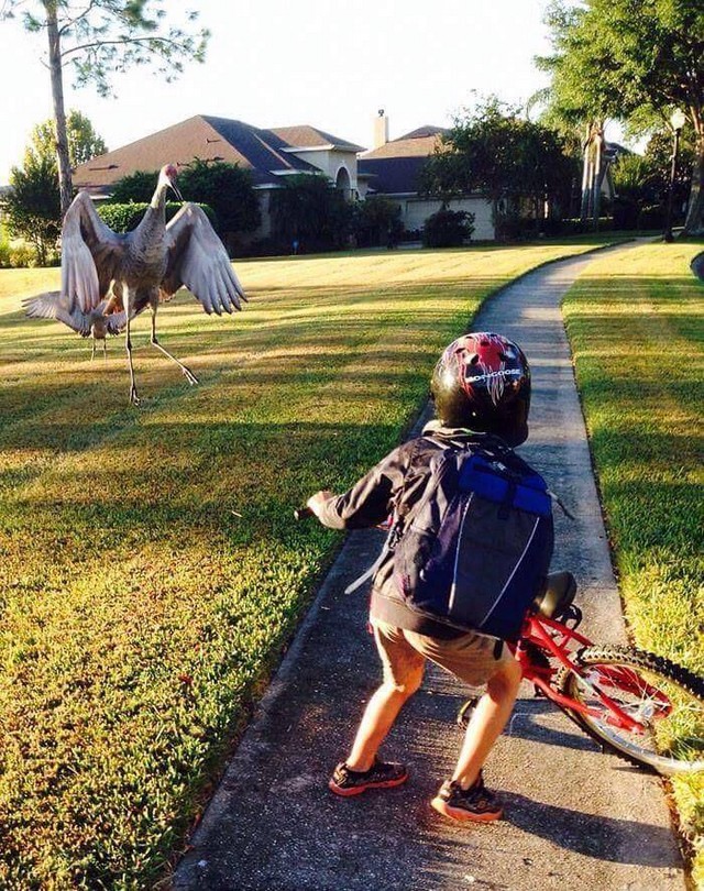 Bad Days Happen (24 pics)