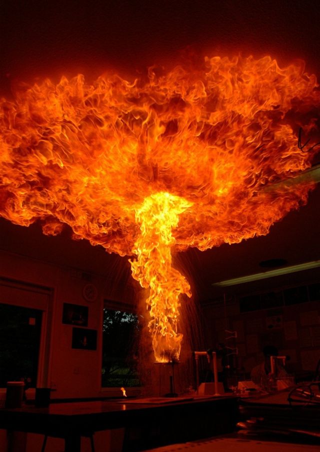 Bad Days Happen (24 pics)