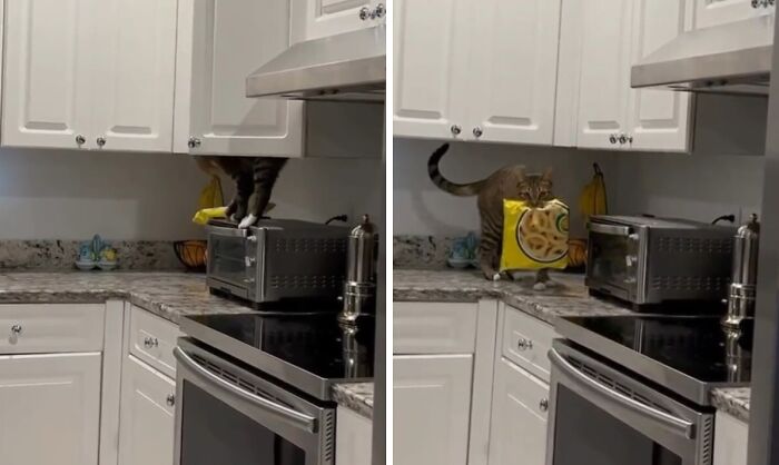 They Need Your Food (21 pics)