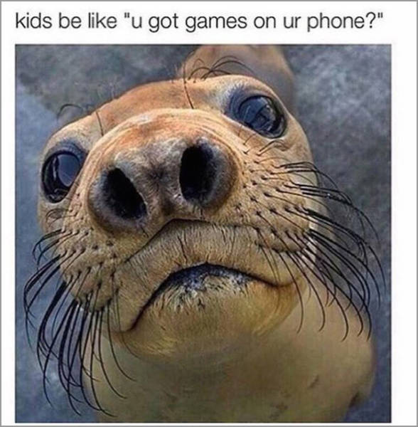 Daily Pictures. Part 2 (81 pics)