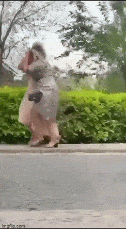 Acid GIFs, March 19 (25 gifs)