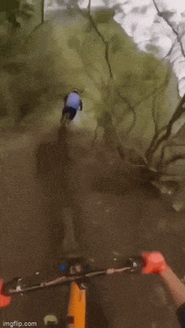 Acid GIFs, March 19 (25 gifs)