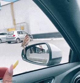 Acid GIFs, March 19 (25 gifs)