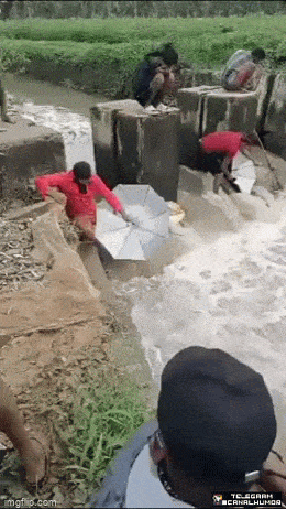 Acid GIFs, March 19 (25 gifs)