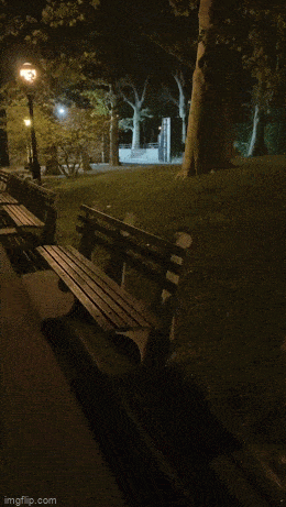 Acid GIFs, March 19 (25 gifs)