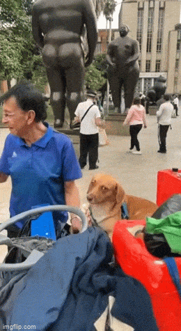 Acid GIFs, March 19 (25 gifs)