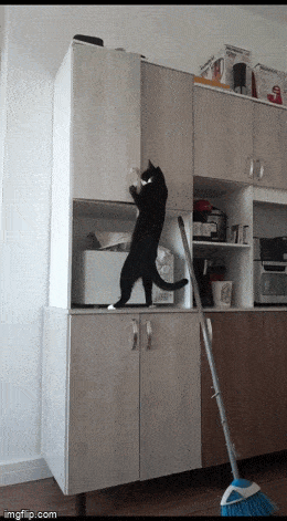 Acid GIFs, March 19 (25 gifs)