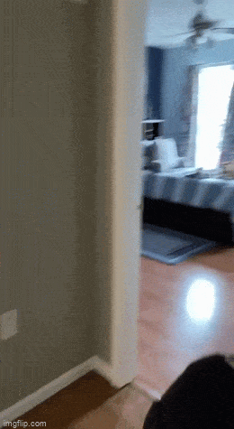 Acid GIFs, March 19 (25 gifs)