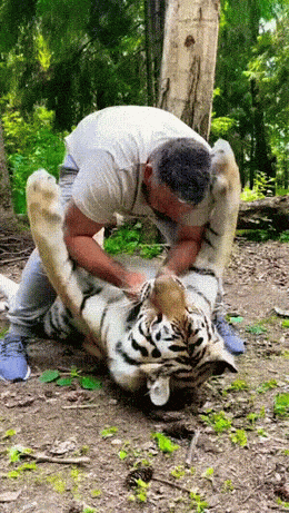 Acid GIFs, March 19 (25 gifs)