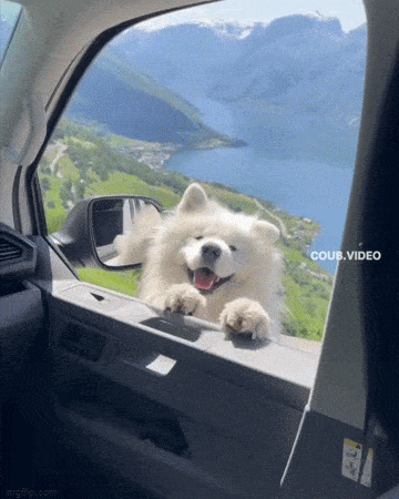 Acid GIFs, March 19 (25 gifs)