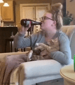 Acid GIFs, March 19 (25 gifs)