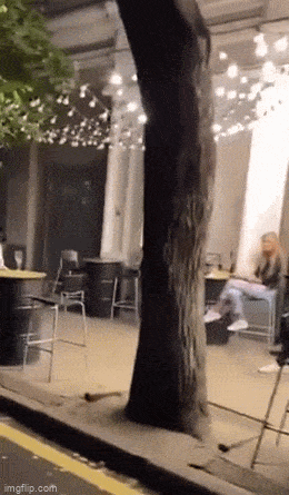Acid GIFs, March 19 (25 gifs)