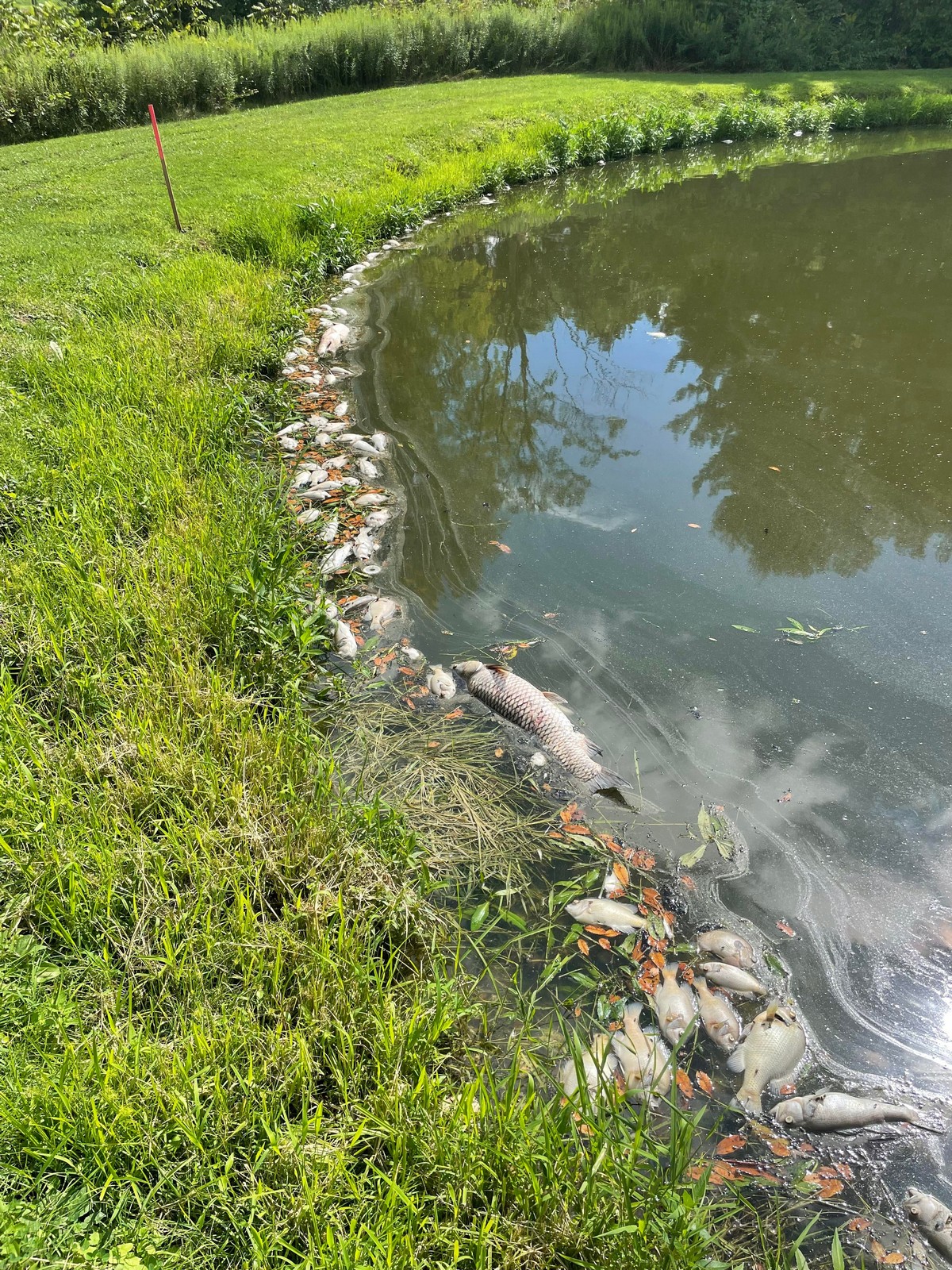 Unfortunate Situations (25 pics)