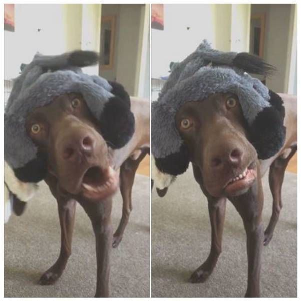 Daily Pictures. Part 1 (69 pics)