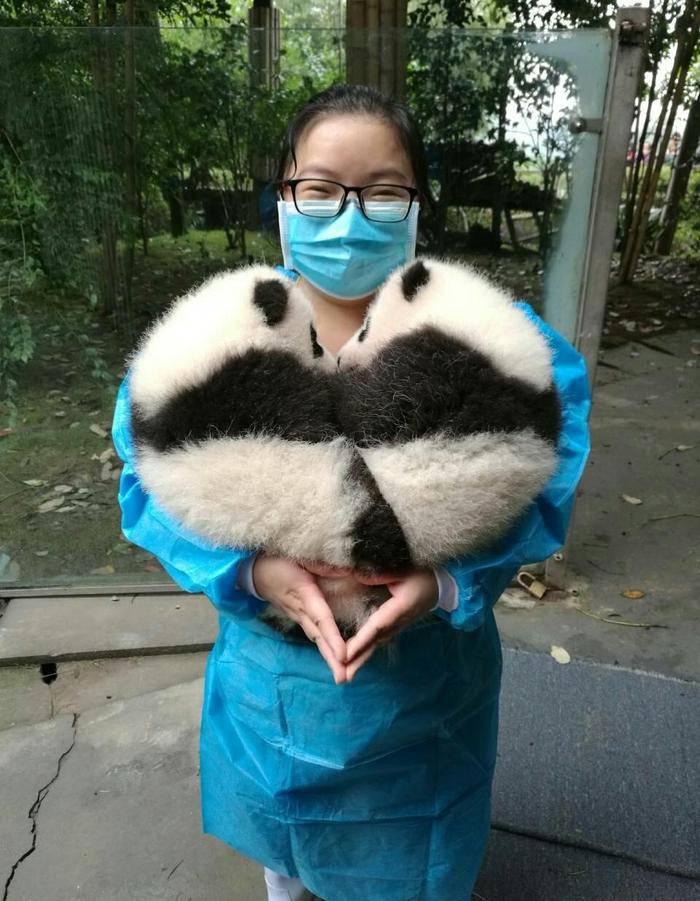 Daily Pictures. Part 2 (68 pics)