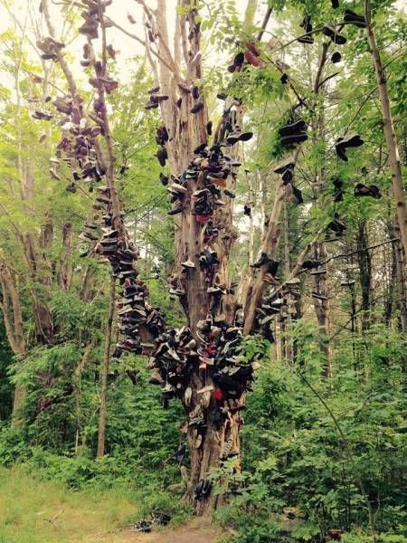 Daily Pictures. Part 2 (68 pics)