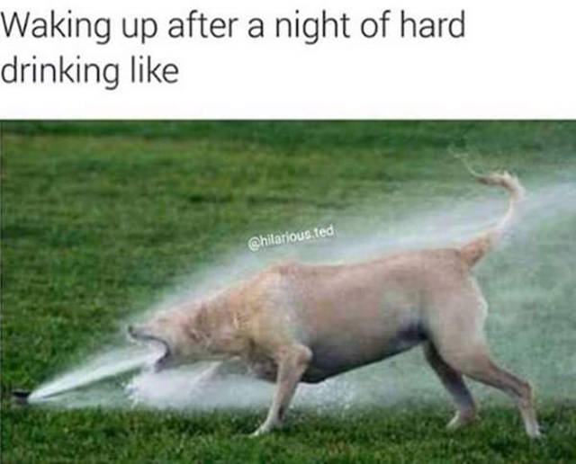 Daily Pictures. Part 2 (68 pics)