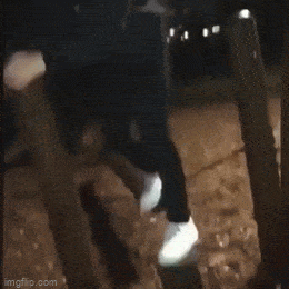 Acid GIFs, March 20 (25 gifs)