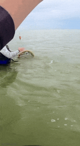 Acid GIFs, March 20 (25 gifs)