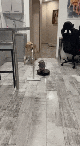 Acid GIFs, March 20 (25 gifs)