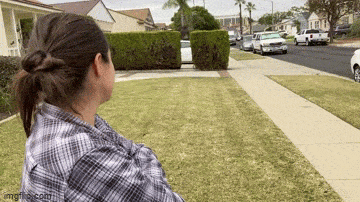 Acid GIFs, March 20 (25 gifs)