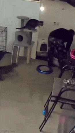 Acid GIFs, March 20 (25 gifs)