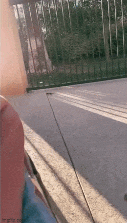 Acid GIFs, March 20 (25 gifs)