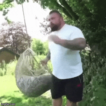 Acid GIFs, March 20 (25 gifs)