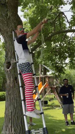 Acid GIFs, March 20 (25 gifs)