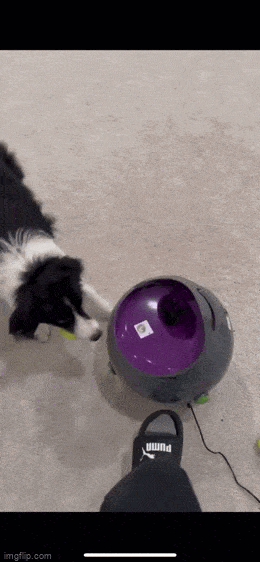 Acid GIFs, March 20 (25 gifs)