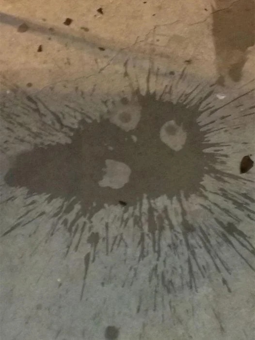 This Is Pareidolia (19 pics)
