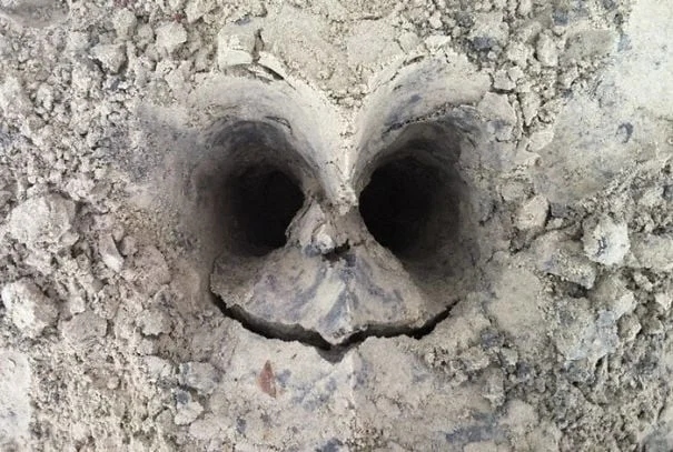 This Is Pareidolia (19 pics)