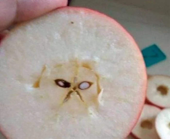 This Is Pareidolia (19 pics)