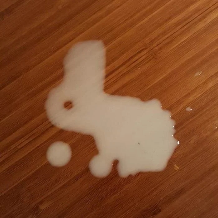 This Is Pareidolia (19 pics)