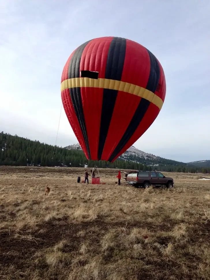 Strange Finds In Thrift Shops (15 pics)