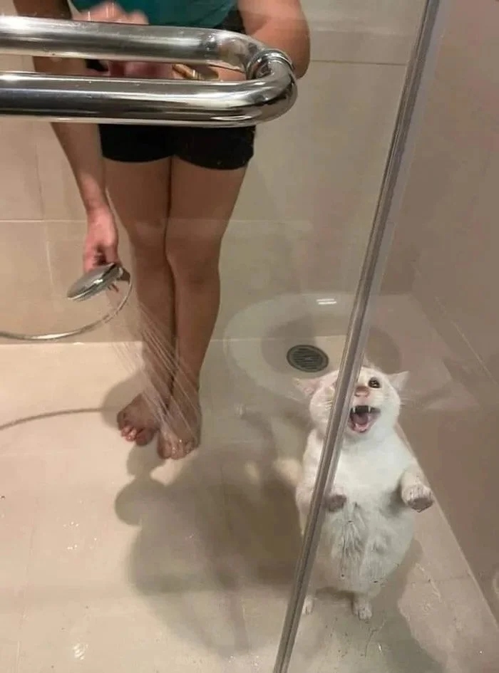 They Don't Like To Swim (15 pics)