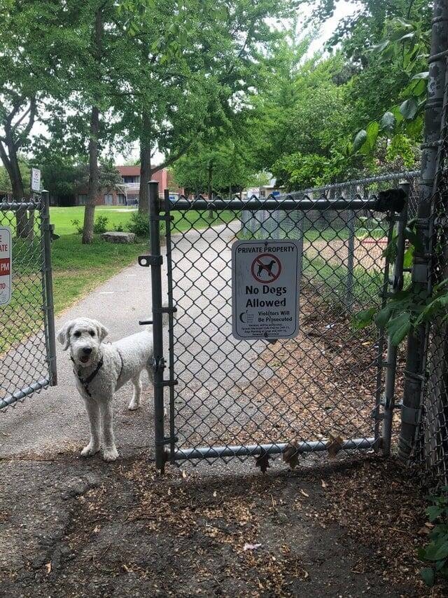 They Don't Care About The Rules (15 pics)