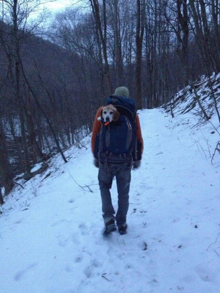 Atmospheric Hiking Photos (17 pics)