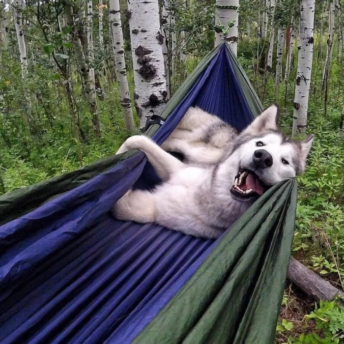 Atmospheric Hiking Photos (17 pics)