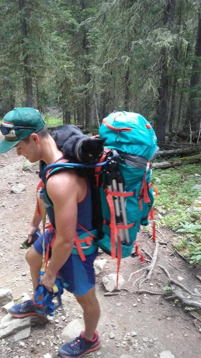 Atmospheric Hiking Photos (17 pics)