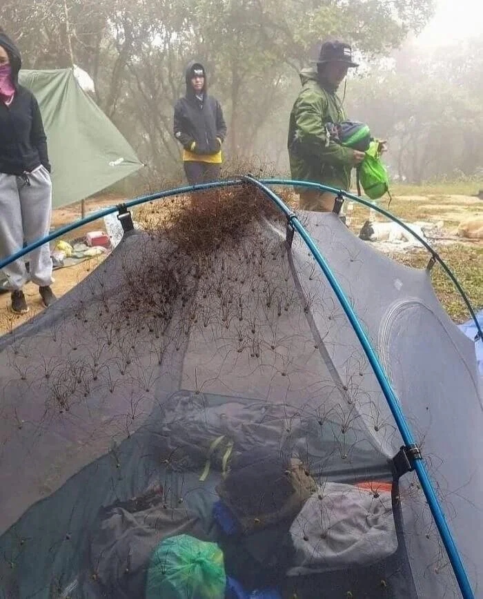 Atmospheric Hiking Photos (17 pics)