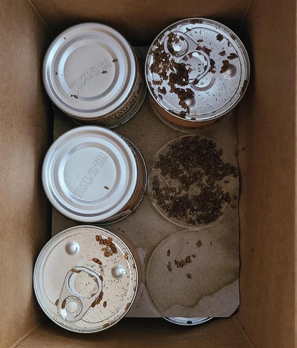 Bad Days Happen (27 pics)