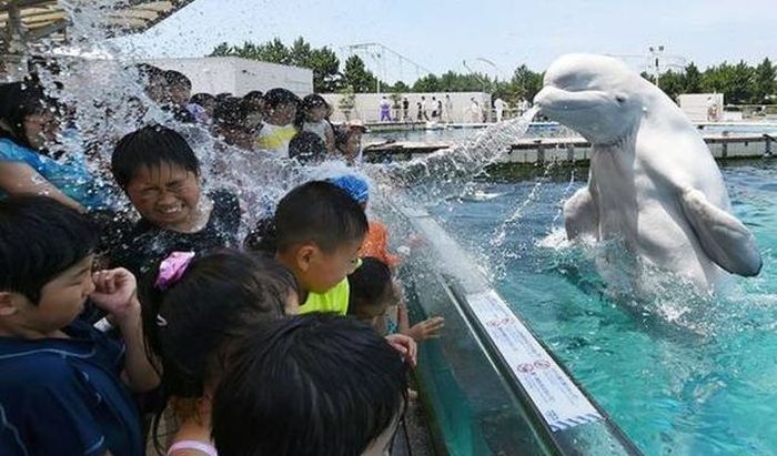 Daily Pictures. Part 1 (72 pics)