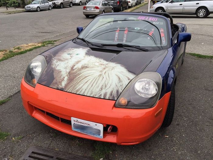 Daily Pictures. Part 2 (71 pics)