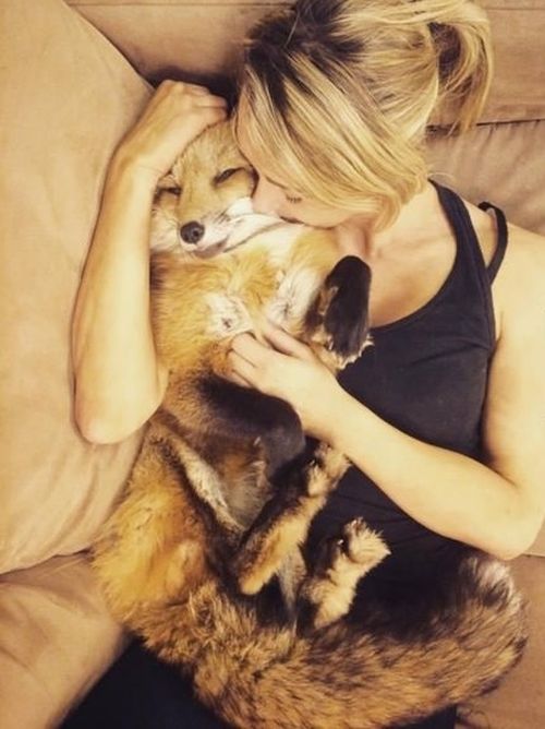 Daily Pictures. Part 1 (72 pics)