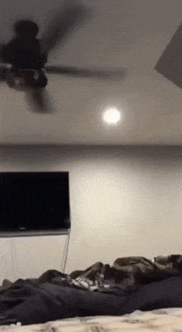 Acid GIFs, March 23 (25 gifs)