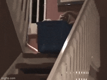 Acid GIFs, March 23 (25 gifs)